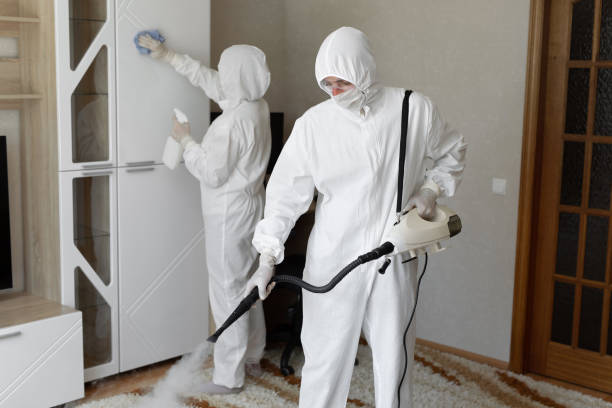 Professional Mold Removal in East Los Angeles, CA