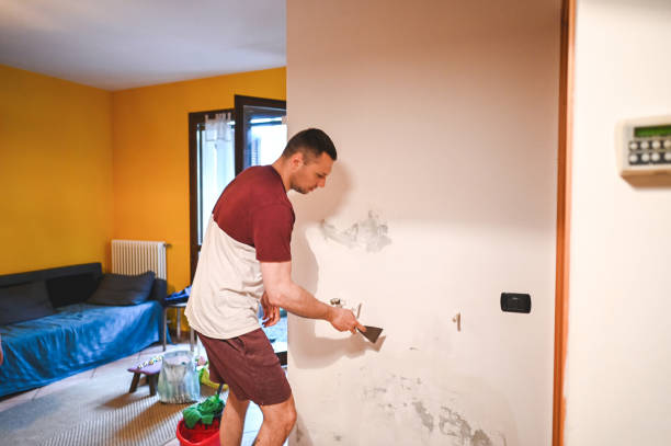 Best Toxic Mold Removal  in East Los Angeles, CA
